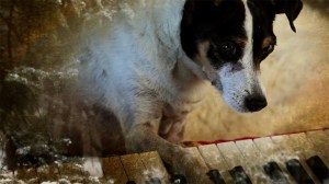 heart-of-a-dogresized